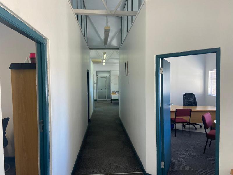 To Let commercial Property for Rent in Newton Park Eastern Cape